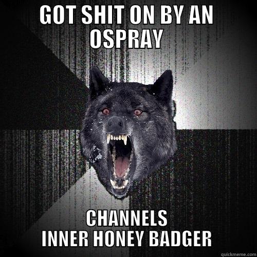 GOT SHIT ON BY AN OSPRAY CHANNELS INNER HONEY BADGER Insanity Wolf