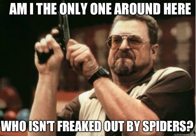 AM I THE ONLY ONE AROUND HERE Who isn't freaked out by spiders?  - AM I THE ONLY ONE AROUND HERE Who isn't freaked out by spiders?   Misc