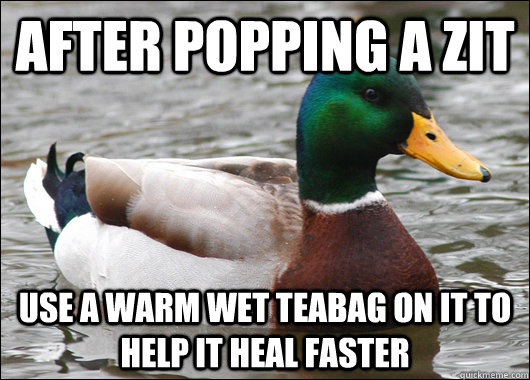 After popping a zit use a warm wet teabag on it to help it heal faster  Actual Advice Mallard