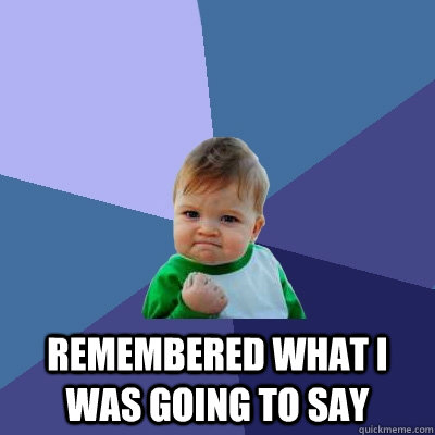  remembered what i was going to say  Success Kid