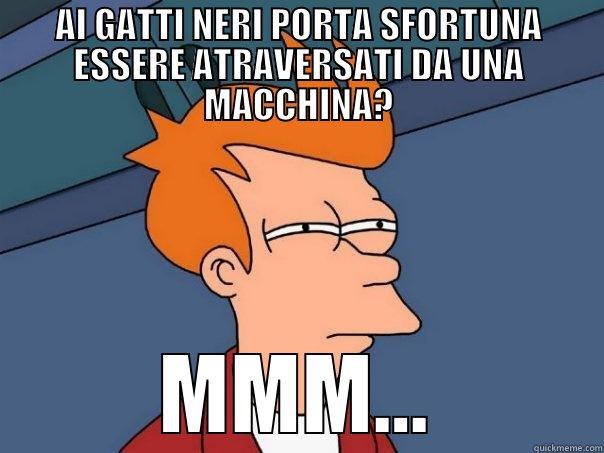 AI GATTI NERI PORTA SFORTUNA ESSERE ATRAVERSATI DA UNA MACCHINA? MMM... Futurama Fry