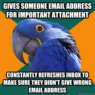 Gives someone email address for important attachment constantly refreshes inbox to make sure they didn't give wrong email address  Paranoid Parrot