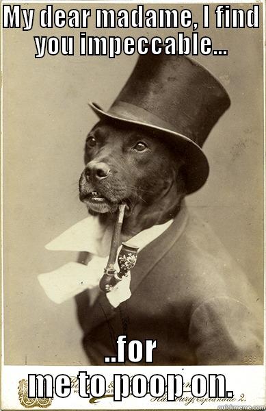 MY DEAR MADAME, I FIND YOU IMPECCABLE... ..FOR ME TO POOP ON. Old Money Dog