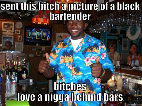 SENT THIS BITCH A PICTURE OF A BLACK BARTENDER BITCHES LOVE A NIGGA BEHIND BARS Misc