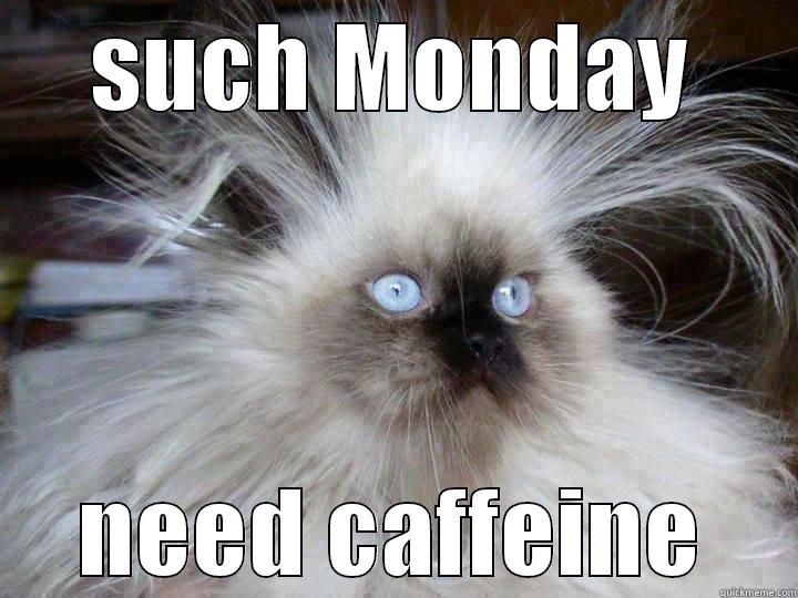 SUCH MONDAY NEED CAFFEINE Misc