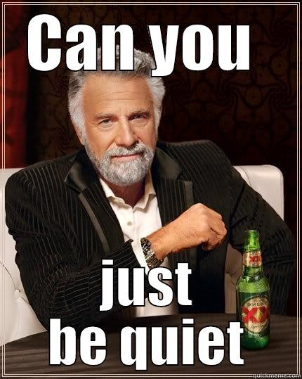 CAN YOU  JUST BE QUIET The Most Interesting Man In The World