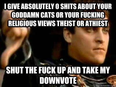 I give absolutely 0 shits about your goddamn cats or your fucking religious views theist or athiest Shut the fuck up and take my downvote  Downvoting Roman