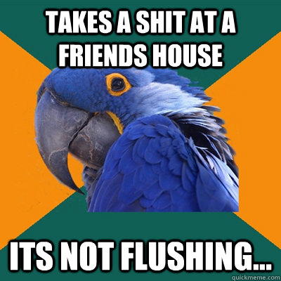 Takes a shit at a Friends House its not flushing...  Paranoid Parrot