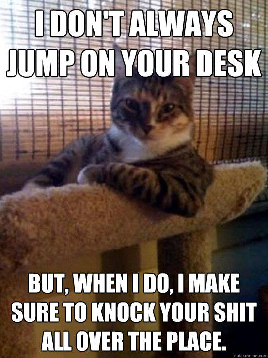 I don't always jump on your desk But, when I do, I make sure to knock your shit all over the place. - I don't always jump on your desk But, when I do, I make sure to knock your shit all over the place.  The Most Interesting Cat in the World