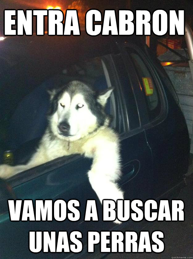 Entra cabron Vamos a buscar unas perras  Mean Dog