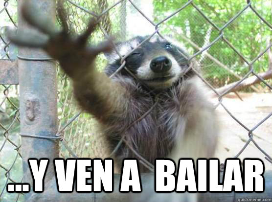  ...Y VEN A  BAILAR  Angry Raccoon