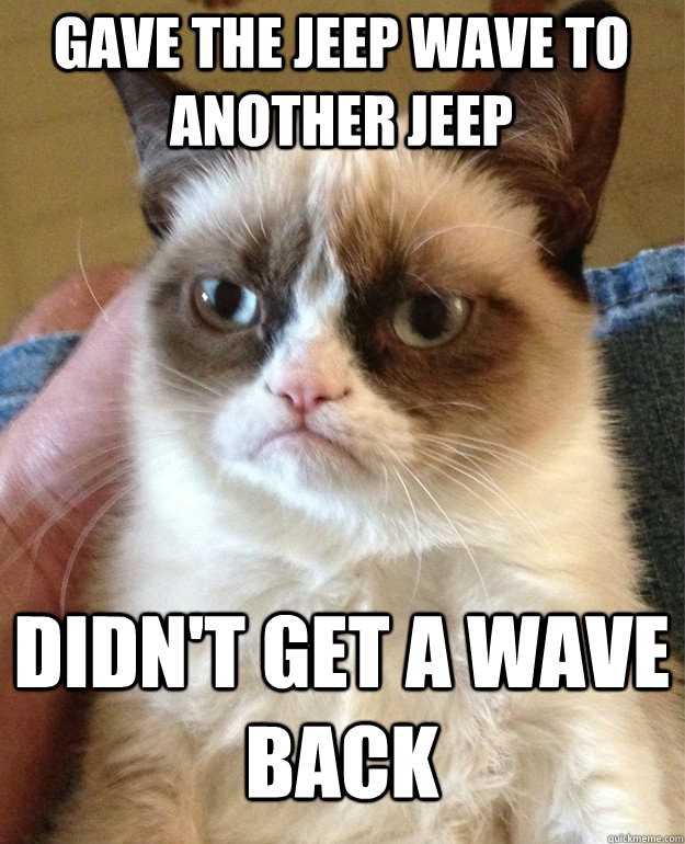Gave the Jeep Wave to another Jeep Didn't get a wave back - Gave the Jeep Wave to another Jeep Didn't get a wave back  Grumpy Cat