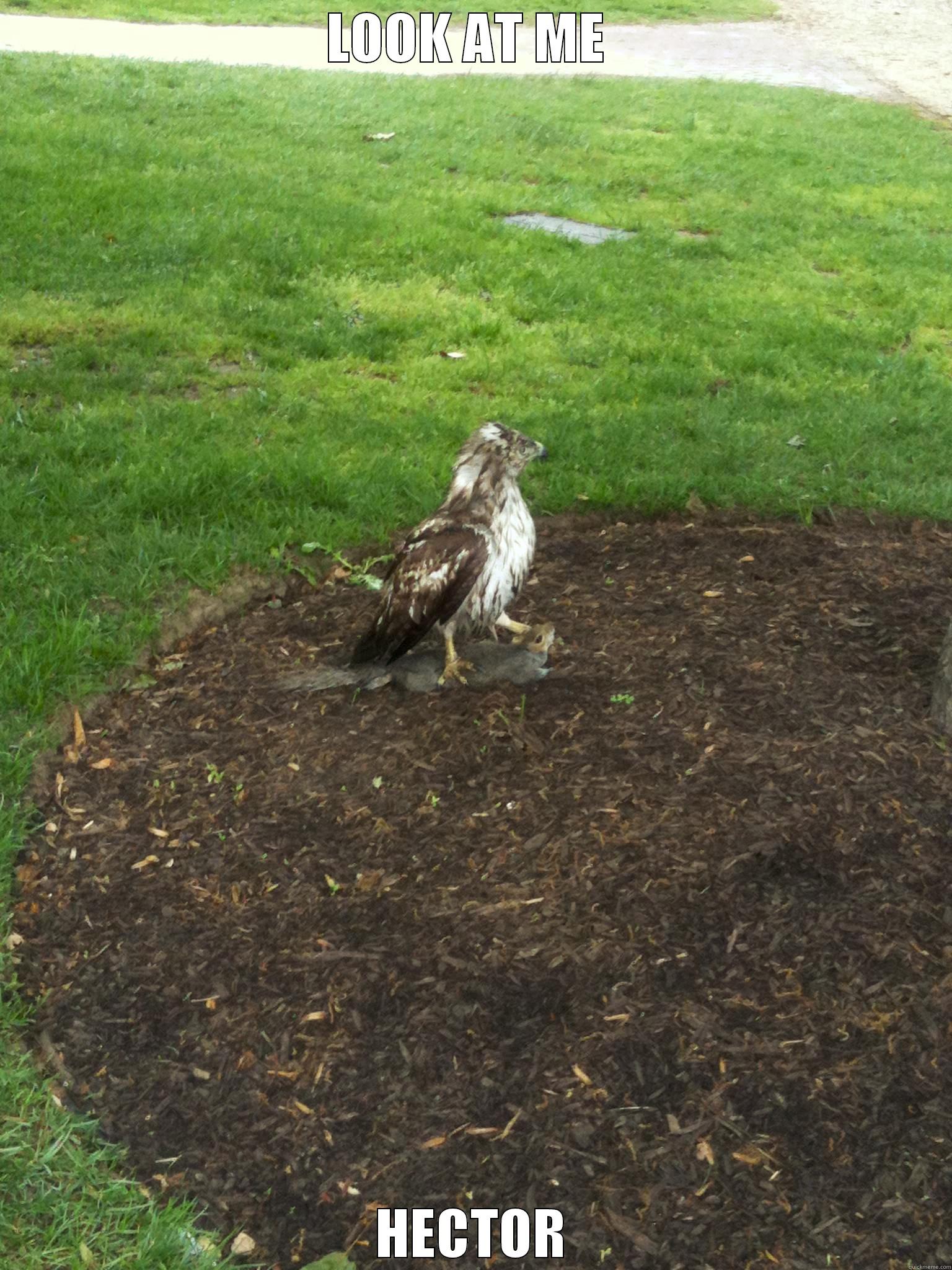 LOOK AT ME  HECTOR Misc