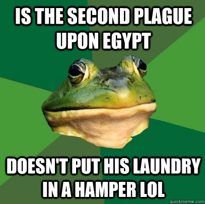 Is the second plague upon Egypt Doesn't put his laundry in a hamper lol  Foul Bachelor Frog