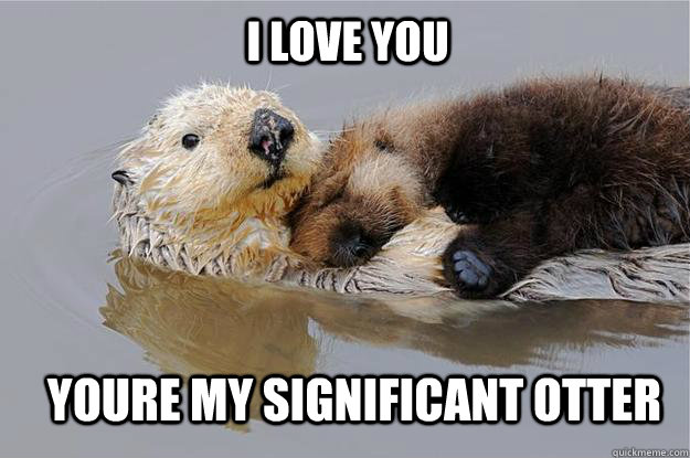 Youre my significant otter I love you - Youre my significant otter I love you  Misc