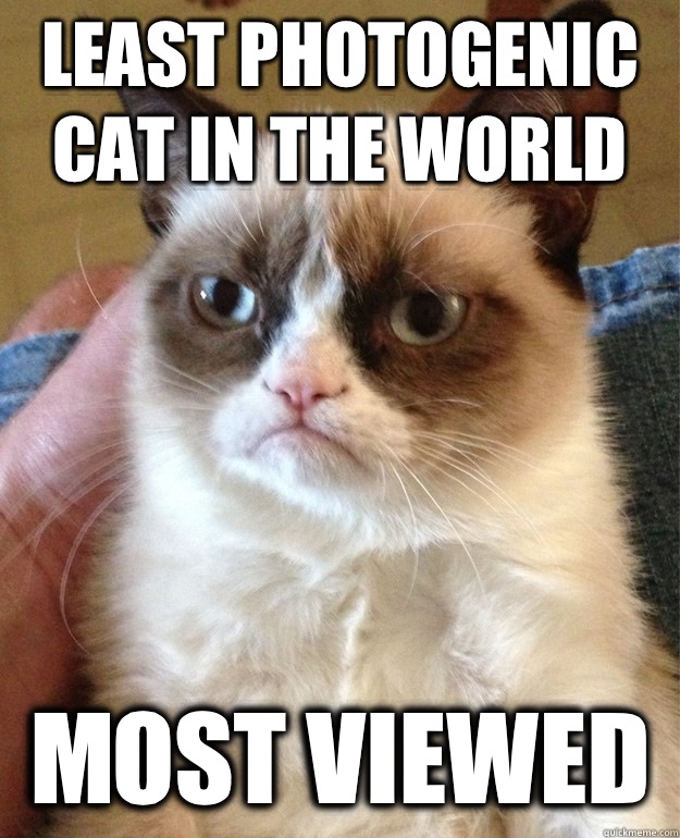 Least photogenic cat in the world Most viewed  - Least photogenic cat in the world Most viewed   Misc