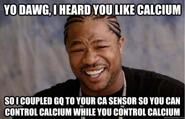 Yo dawg, I heard you like Calcium So I coupled Gq to your Ca Sensor so you can control calcium while you control calcium  