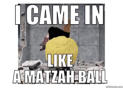 I CAME IN LIKE A MATZAH BALL Misc