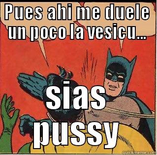 PUES AHI ME DUELE UN POCO LA VESICU... SIAS PUSSY Slappin Batman