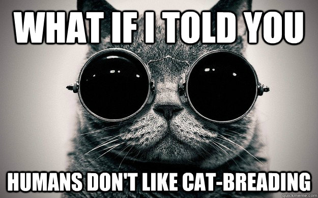 What if i told you Humans don't like cat-breading  Morpheus Cat Facts