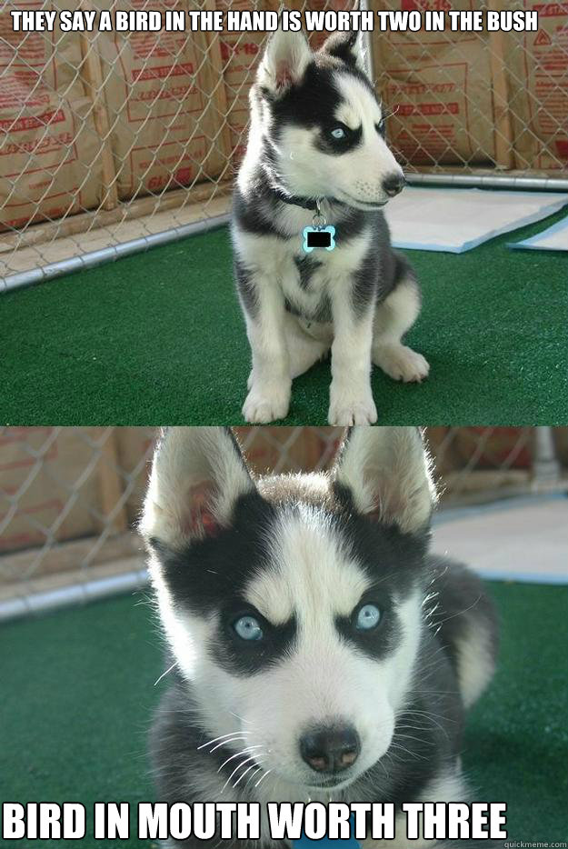 they say a bird in the hand is worth two in the bush bird in mouth worth three  Insanity puppy