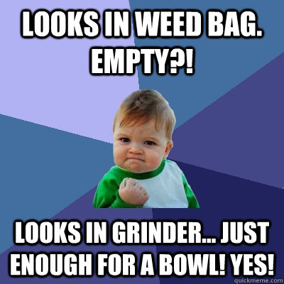 Looks in weed bag. EMPTY?! Looks in grinder... Just enough for a bowl! Yes!   Success Kid