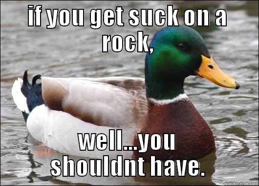 IF YOU GET SUCK ON A ROCK, WELL...YOU SHOULDNT HAVE. Actual Advice Mallard