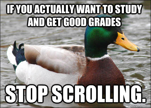 If you actually want to study and get good grades Stop scrolling.  Actual Advice Mallard