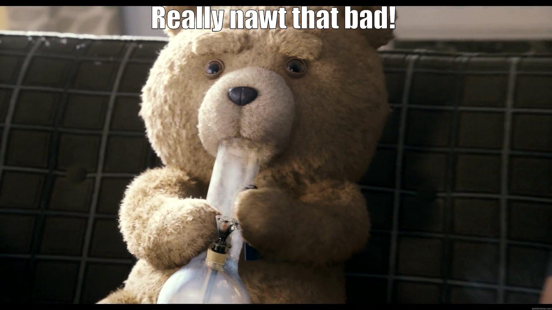 TED MEME - REALLY NAWT THAT BAD!  Misc