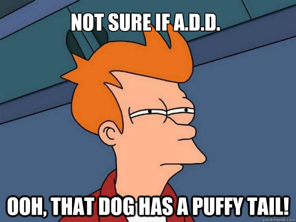 Not sure if A.D.D. Ooh, that dog has a puffy tail!  Futurama Fry