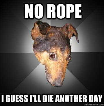 No rope I guess I'll die another day - No rope I guess I'll die another day  Depression Dog