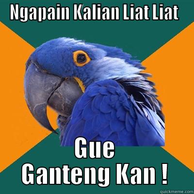 NGAPAIN KALIAN LIAT LIAT  GUE GANTENG KAN ! Paranoid Parrot