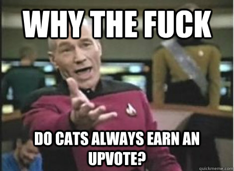 why the fuck do cats always earn an upvote? - why the fuck do cats always earn an upvote?  Misc