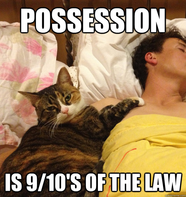 Possession Is 9/10's of the Law - Possession Is 9/10's of the Law  Possessive Cat
