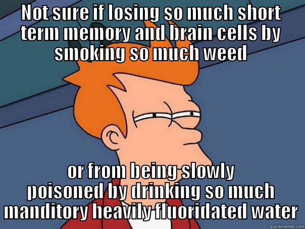 Loss of Brain Cells - NOT SURE IF LOSING SO MUCH SHORT TERM MEMORY AND BRAIN CELLS BY SMOKING SO MUCH WEED OR FROM BEING SLOWLY POISONED BY DRINKING SO MUCH MANDITORY HEAVILY FLUORIDATED WATER Futurama Fry