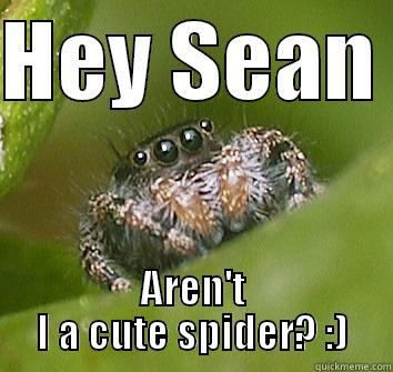 Hey Sean - HEY SEAN  AREN'T I A CUTE SPIDER? :) Misunderstood Spider