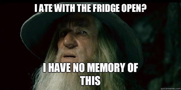 I ate with the fridge open?                             I have no memory of this   I have no memory Gandalf