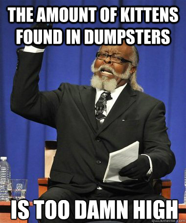 The amount of kittens found in dumpsters Is too damn high  Rent Is Too Damn High Guy