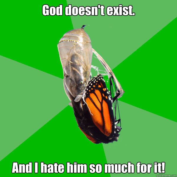 God doesn't exist. And I hate him so much for it! - God doesn't exist. And I hate him so much for it!  Transitional Atheist Butterfly