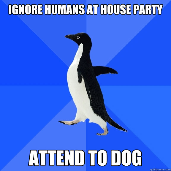 Ignore humans at house party attend to dog  Socially Awkward Penguin