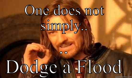 ONE DOES NOT SIMPLY.. .. DODGE A FLOOD Boromir