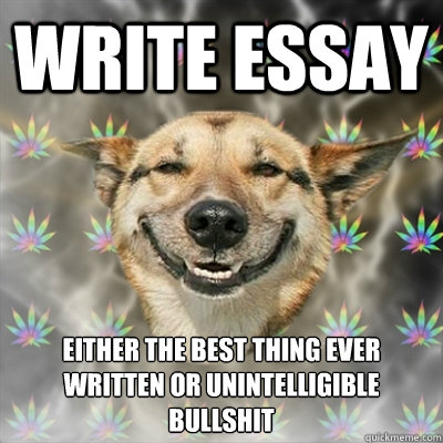 Write Essay Either the best thing ever written or unintelligible bullshit  Stoner Dog