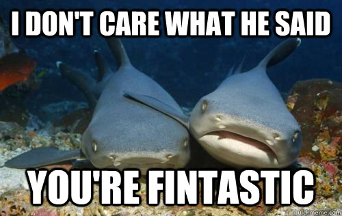 I don't care what he said you're fintastic  Compassionate Shark Friend
