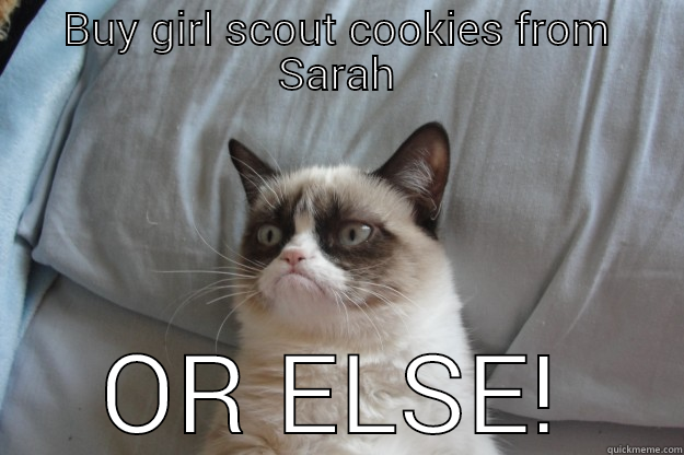BUY GIRL SCOUT COOKIES FROM SARAH OR ELSE! Grumpy Cat