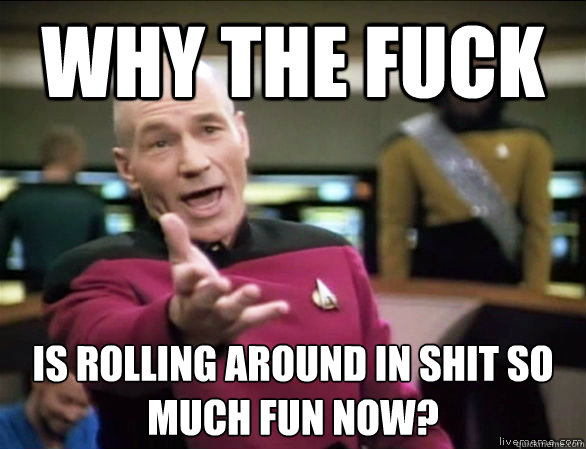 Why the fuck Is rolling around in shit so much fun now?   Annoyed Picard HD