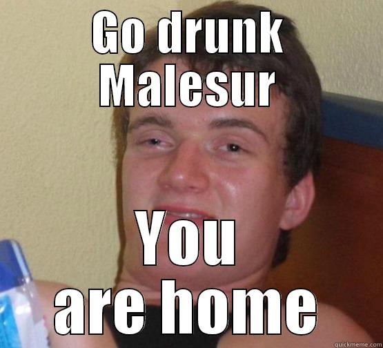 GO DRUNK MALESUR YOU ARE HOME Stoner Stanley