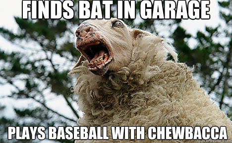 Finds Bat in garage Plays Baseball with Chewbacca   Meth Sheep