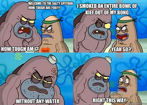 Welcome to the Salty Spitoon how tough are you?? HOW TOUGH AM I? i smoked an entire bowl of kief out of my bong

 without any water right this way Yeah so?  Salty Spitoon How Tough Are Ya