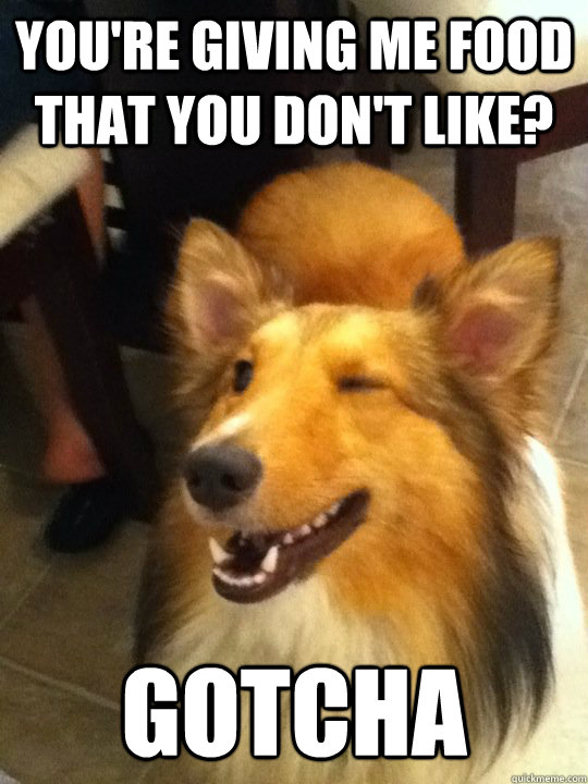 You're giving me food that you don't like? Gotcha  implying dog