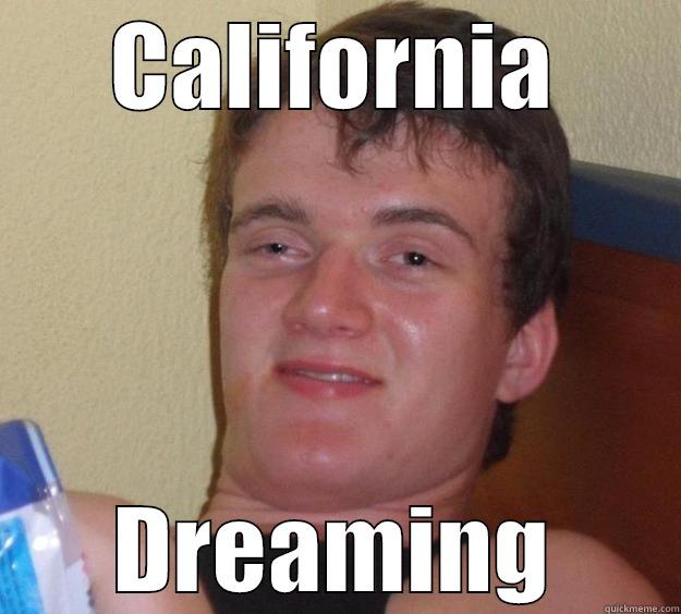 CALIFORNIA DREAMING 10 Guy